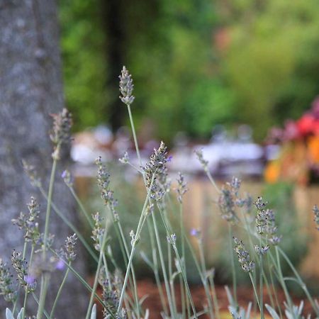Podere La Miniera Relax & Food Siena Ngoại thất bức ảnh