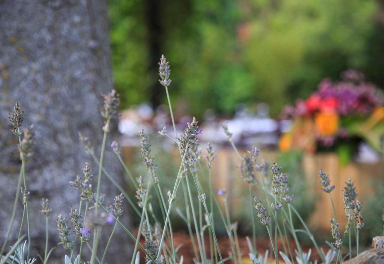 Podere La Miniera Relax & Food Siena Ngoại thất bức ảnh